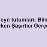 ebeveyn-tutumlari-bilmeniz-gereken-sasirtici-gercekler.webp